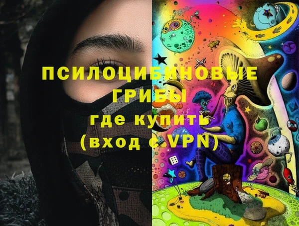 молекула духа Балахна