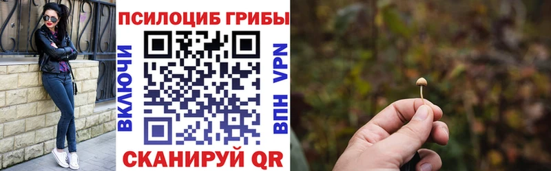 Галлюциногенные грибы Magic Shrooms  Верещагино 